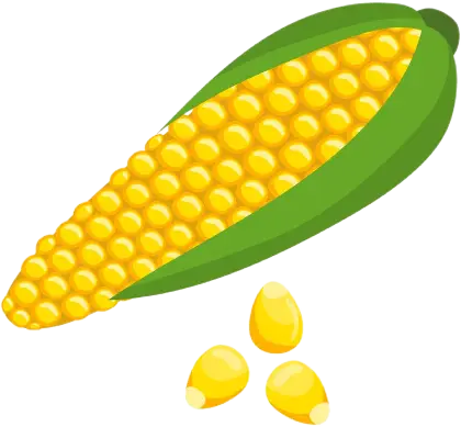 Mais